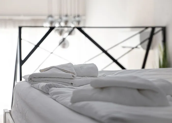 Palangos Loftai Palanga